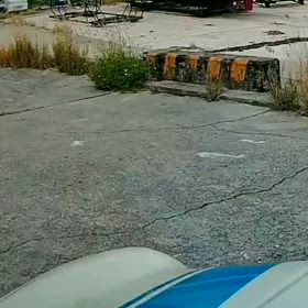 運が良いのか悪いのか…の画像