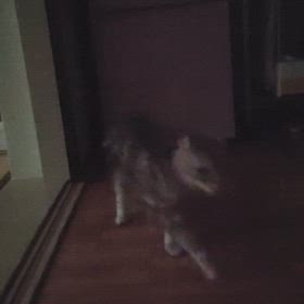 シューちゃん高熱の画像