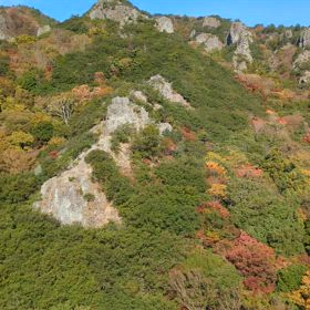 人工膝関節置換術5ヶ月後～小豆島日帰り旅行⑦☆の画像