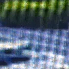 見計らってからの画像