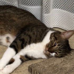 20杯飲んで　やったーノルマ達成！がしかし中止になりました。の画像