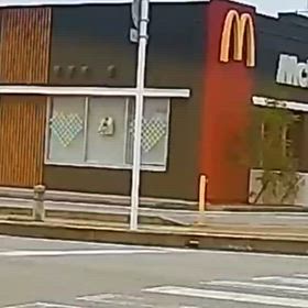 ウインカー違反が多すぎるの画像