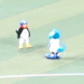 つばちゃんの画像