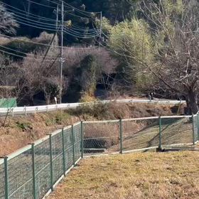 越生駅伝試走③の画像