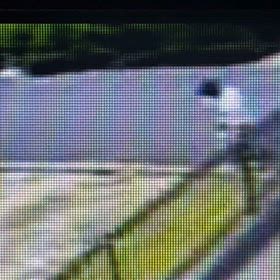 溝のゴミは、駐車場へ投げ捨て！Σ('◉⌓◉’)の画像