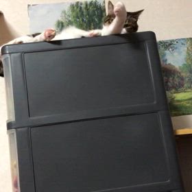 日曜日のジム活は…私やっぱり風邪引くと肺炎になるんだ！の画像