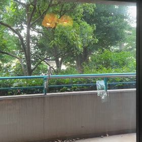 my morning routineの画像