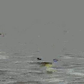 夏バテの原因の画像