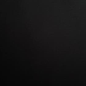 春風のいたずらの画像