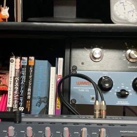 2024.8.24   テンション爆上がり。の画像