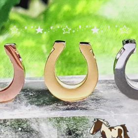 ✨馬蹄・パーツ✨の画像