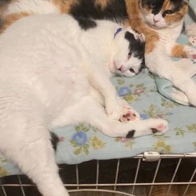 明日は早起き…の画像