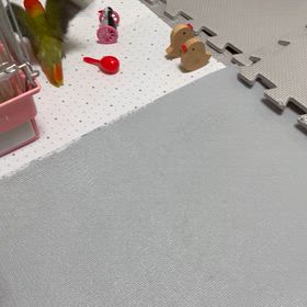 ピピちゃん病院へ行くの画像