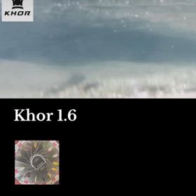 コール1.6のスイム動画の画像