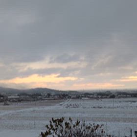 初雪の画像