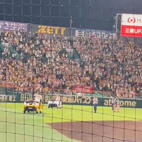勝ったやんの画像