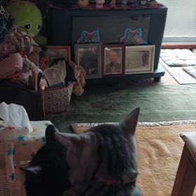 11月22日。金曜日。寒い朝。の画像