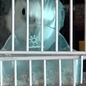 今日も晴れの画像