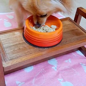 ごはん♪の画像