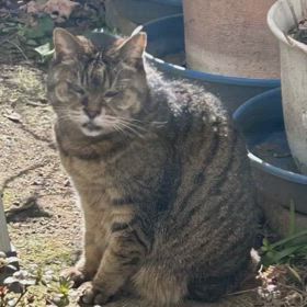 痛み止め増量…あまり効いてない？？？の画像