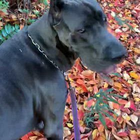 東京・すぐ近くに楽園ロード❤️幸せの画像