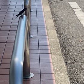 自然と対話するの画像