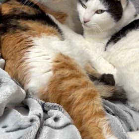 今日も良い一日を〜の画像