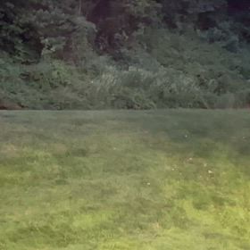 緊急！通過すべし♡蛍と野鳥のさえずりと共にお助け申すの画像