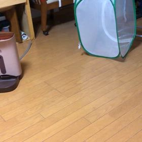 肺炎3…あれからため息。か弱いんです私。の画像