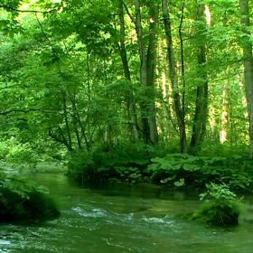 健康と美を守る最強秘密兵器－１の画像