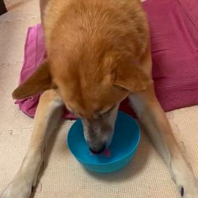 石岡八郷ベースの画像