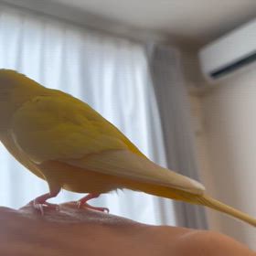 一緒にうたうの画像