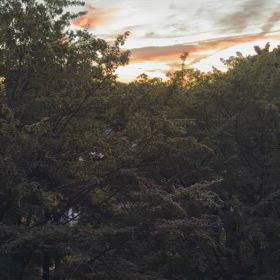 ケモ後5ヶ月　真夏の到来の画像