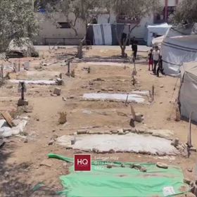 世界人道デーの画像