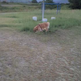 新たな発見。の画像