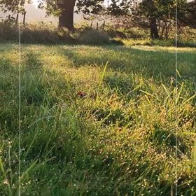 7%offクーポン♡の画像