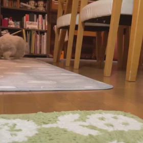 聞いてたのかなの画像