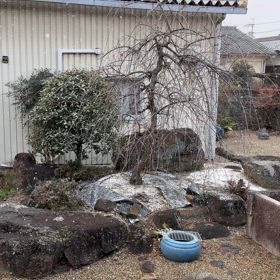 20250205 雪のぱらつく寒い日の画像