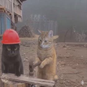 朝の動画の画像