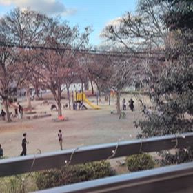 我が家のイルミネーションが、私に合っているのですの画像