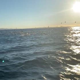 今日は朝イチから跳ねまくりでゲットしてますよの画像