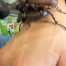 アダルトの画像