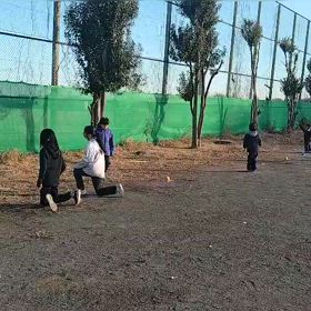 1/11 基本動作（ボール投げ）④の画像