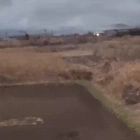 フライング　ドラゴンの画像