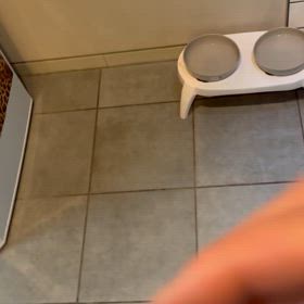 ツンデレに振り回されての画像