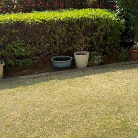 おはようございますの画像