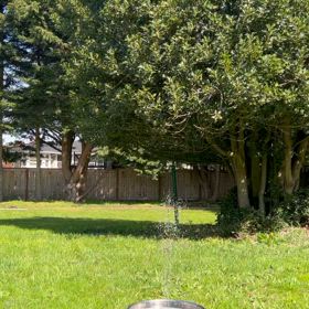 Respite programの画像