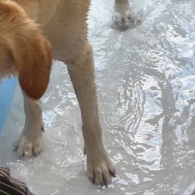 少しだけ涼しくの画像