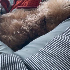 GLP1ダイエット 12日目 リベルサス7mg移行！の画像