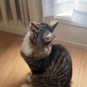 冬も毛穴洗浄の画像